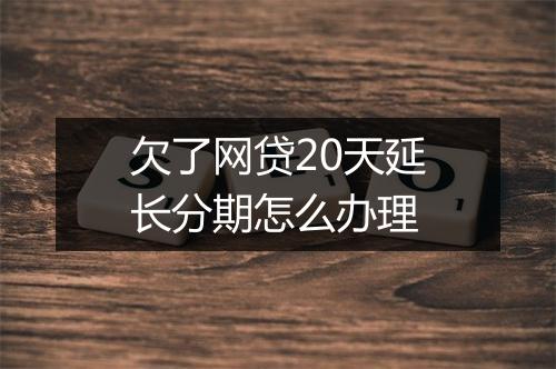欠了网贷20天延长分期怎么办理