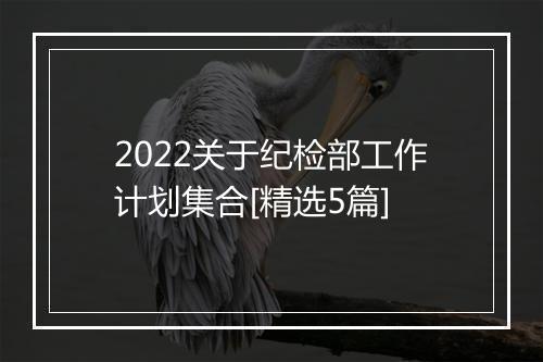 2022关于纪检部工作计划集合[精选5篇]