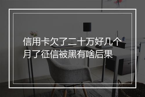 信用卡欠了二十万好几个月了征信被黑有啥后果