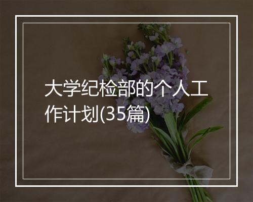 大学纪检部的个人工作计划(35篇)