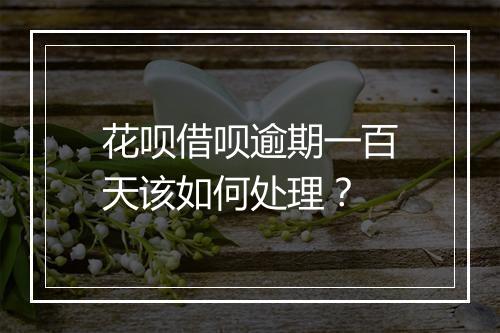 花呗借呗逾期一百天该如何处理？