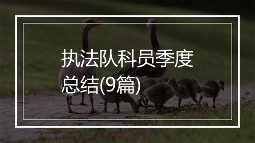 执法队科员季度总结(9篇)