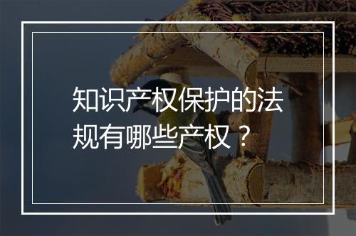 知识产权保护的法规有哪些产权？