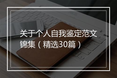 关于个人自我鉴定范文锦集（精选30篇）