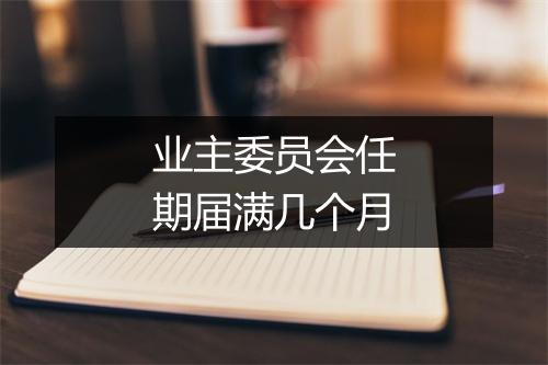 业主委员会任期届满几个月