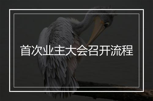 首次业主大会召开流程