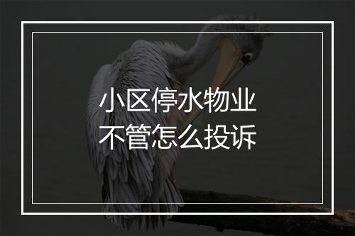 小区停水物业不管怎么投诉