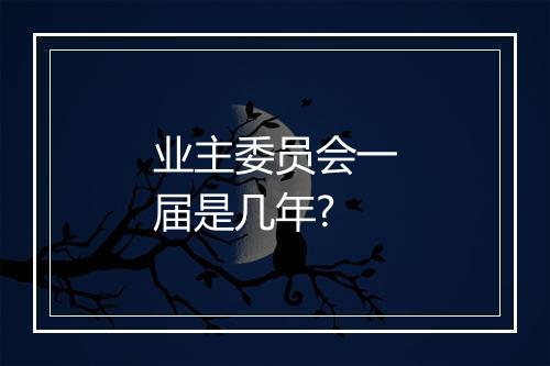 业主委员会一届是几年?
