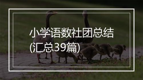 小学语数社团总结(汇总39篇)