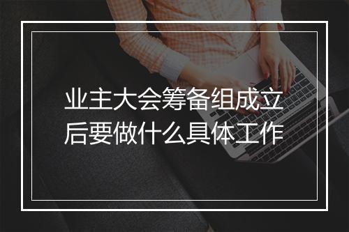 业主大会筹备组成立后要做什么具体工作