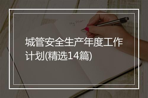 城管安全生产年度工作计划(精选14篇)
