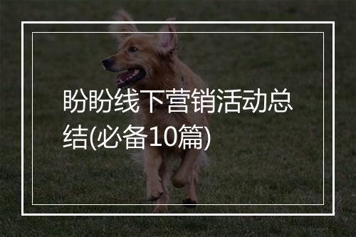 盼盼线下营销活动总结(必备10篇)