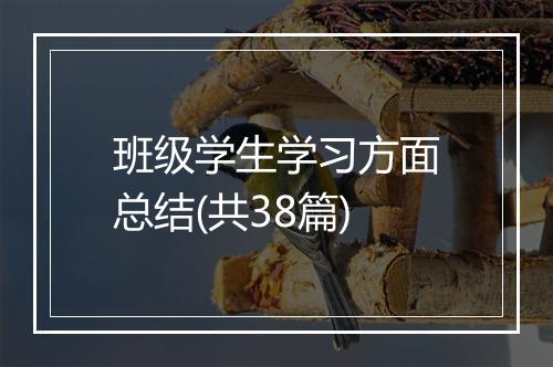 班级学生学习方面总结(共38篇)