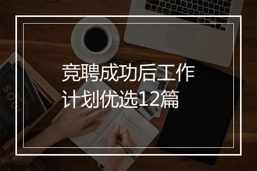 竞聘成功后工作计划优选12篇