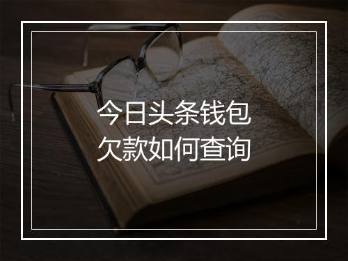 今日头条钱包欠款如何查询