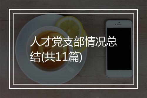 人才党支部情况总结(共11篇)