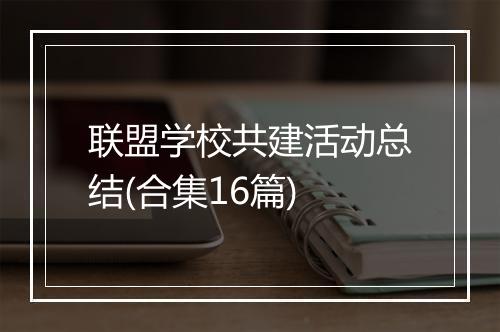 联盟学校共建活动总结(合集16篇)