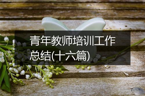 青年教师培训工作总结(十六篇)