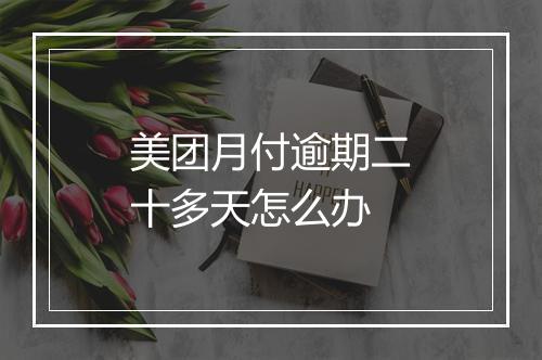 美团月付逾期二十多天怎么办