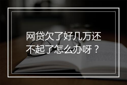 网贷欠了好几万还不起了怎么办呀？