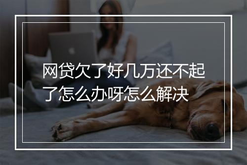 网贷欠了好几万还不起了怎么办呀怎么解决