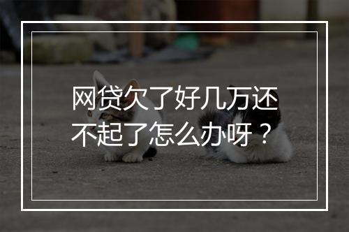 网贷欠了好几万还不起了怎么办呀？