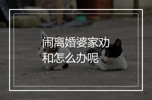 闹离婚婆家劝和怎么办呢