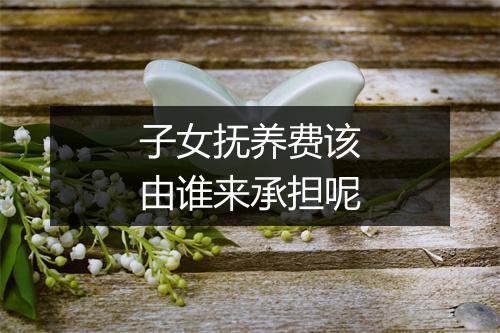 子女抚养费该由谁来承担呢