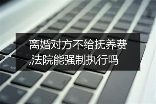 离婚对方不给抚养费,法院能强制执行吗