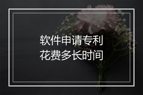 软件申请专利花费多长时间
