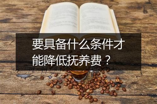 要具备什么条件才能降低抚养费？