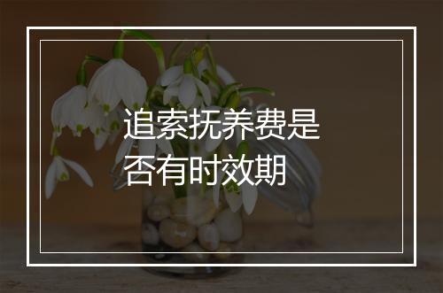 追索抚养费是否有时效期