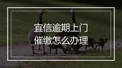 宜信逾期上门催缴怎么办理