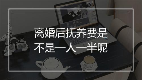 离婚后抚养费是不是一人一半呢