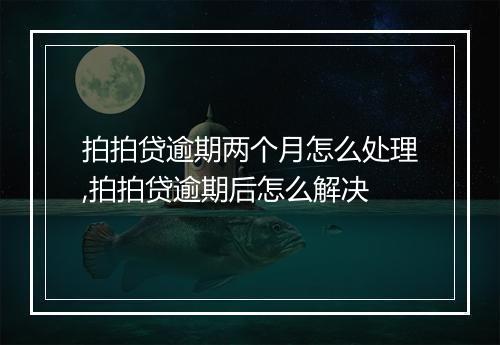 拍拍贷逾期两个月怎么处理,拍拍贷逾期后怎么解决