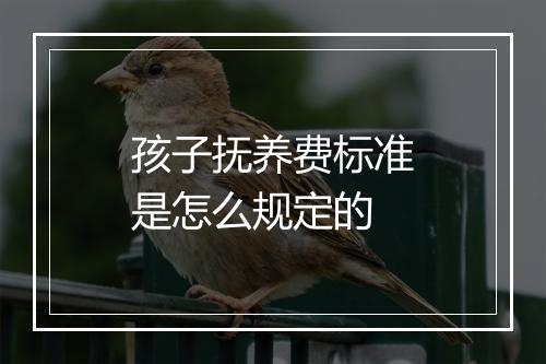 孩子抚养费标准是怎么规定的
