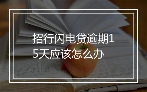 招行闪电贷逾期15天应该怎么办