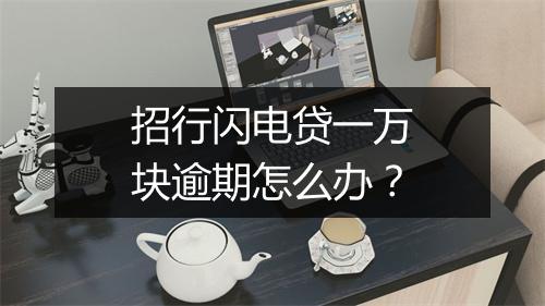 招行闪电贷一万块逾期怎么办？