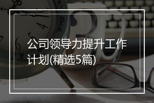 公司领导力提升工作计划(精选5篇)