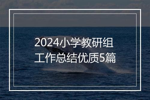 2024小学教研组工作总结优质5篇