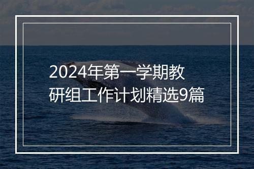 2024年第一学期教研组工作计划精选9篇