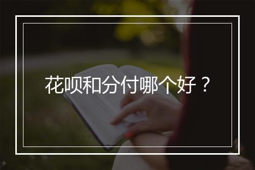 花呗和分付哪个好？