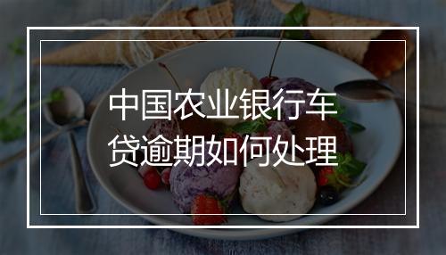中国农业银行车贷逾期如何处理
