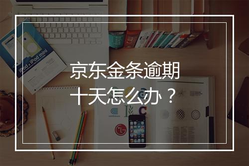 京东金条逾期十天怎么办？