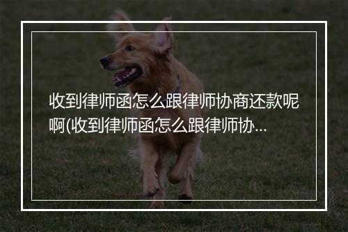 收到律师函怎么跟律师协商还款呢啊(收到律师函怎么跟律师协商还款呢啊多少钱)