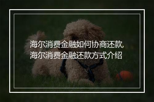 海尔消费金融如何协商还款,海尔消费金融还款方式介绍