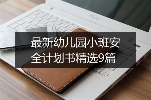 最新幼儿园小班安全计划书精选9篇