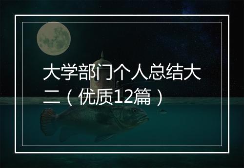 大学部门个人总结大二（优质12篇）