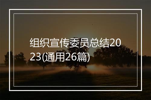 组织宣传委员总结2023(通用26篇)