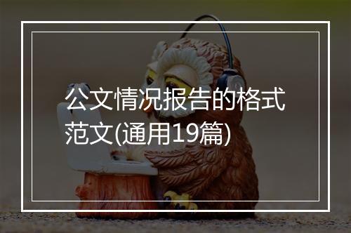 公文情况报告的格式范文(通用19篇)
